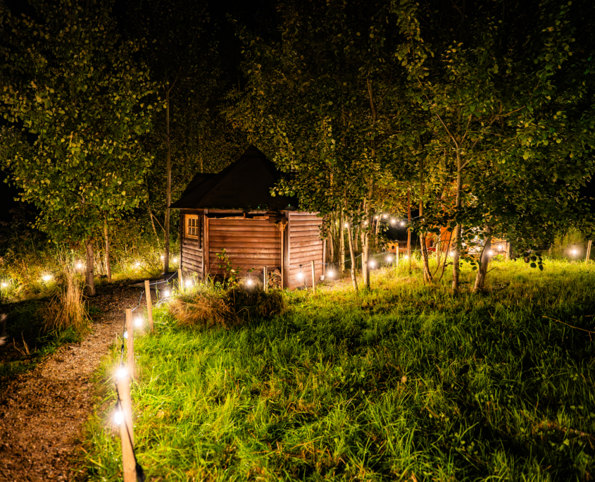 Sauna Amber Sauna Amber