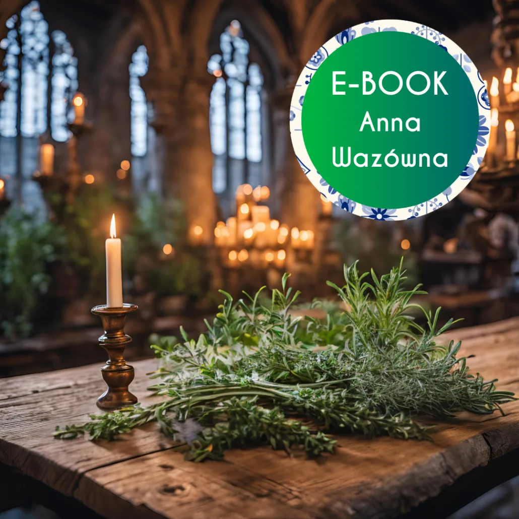 ebook anna wazówna