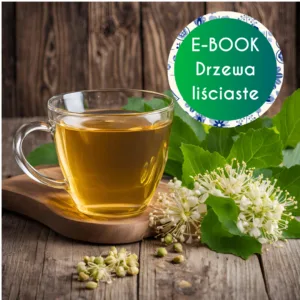 ebook drzewa liściaste