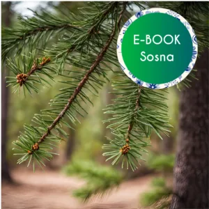 E-book "Sosna zwyczajna – wierzenia, charakterystyka, zastosowanie"