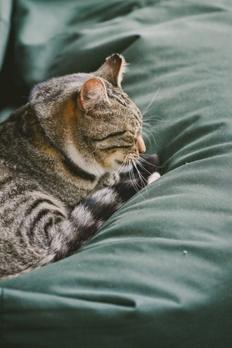 2026-08-28 - Saunowy Staw Zioła (25 z 116)