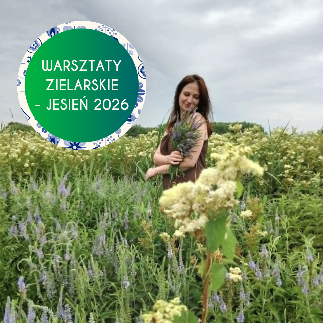 warsztaty zielarskie - jesień 2026